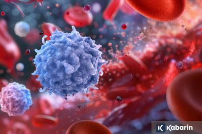 Waspada Anemia, kenali penyakit yang bikin Hemoglobin (Hb) turun