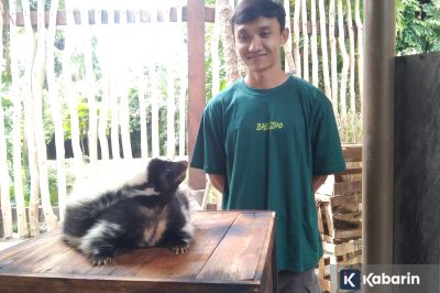 Bali Zoo buka wahana baru buat sambut liburan tahun baru