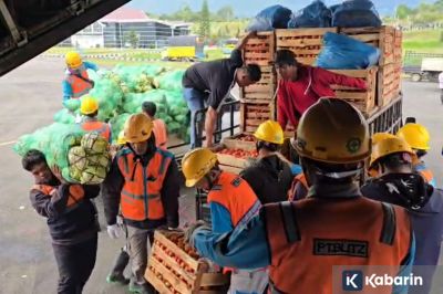 TNI AU bantu petani Aceh angkut 14 ton cabai lewat pesawat Hercules