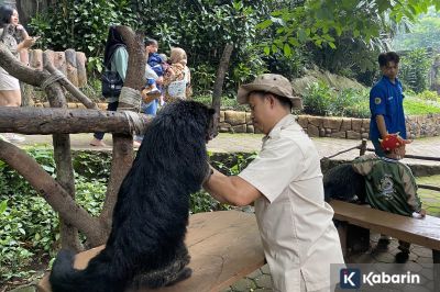 Pemkot Bandung sebut satwa Bandung Zoo bisa dititipkan ke pihak berizin
