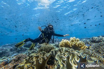 Buku "Wonderful Indonesia Diving Directory" jadi pedoman penyelam profesional