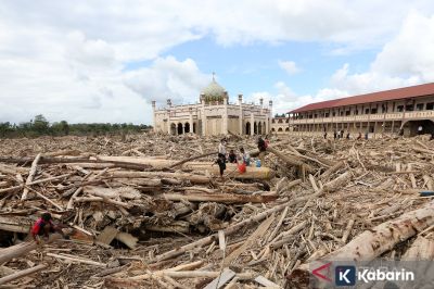 Kemenhut: Kayu hanyut banjir bisa dimanfaatkan untuk bangun kembali masyarakat terdampak