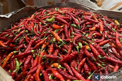Harga bahan pangan hari ini: Cabe Rp72.750/kg, telur Rp33.000/kg