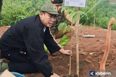 Wakil Ketua DPR serukan Gerakan Nusantara tanam pohon untuk cegah bencana