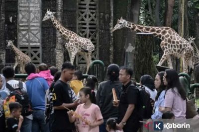 Antisipasi lonjakan kendaraan, Ragunan siapkan 10 lokasi parkir