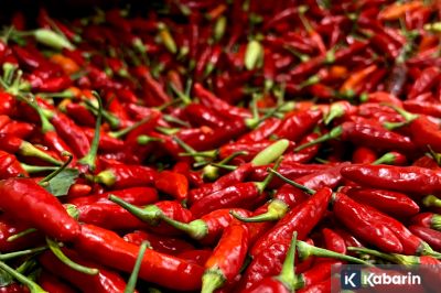 Harga Bahan Pangan Hari Ini: Cabe Rawit Rp45.000/kg, Telur Rp29.000/kg