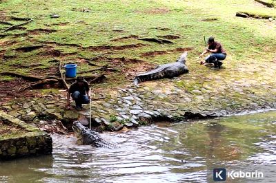 Libur Tahun Baru, Ragunan Diperkirakan Diserbu Seratus Ribu Pengunjung pada 1 Januari
