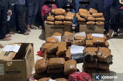 Tiga Pengedar Ganja Seberat 83 Kg di Bekasi Ditangkap Polisi