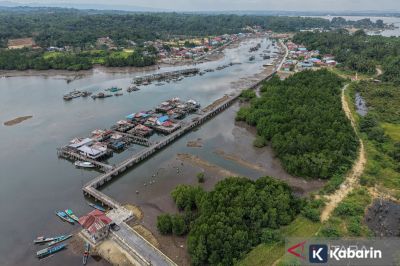 KLH Tetapkan Peta Mangrove Nasional 2025 Seluas 3,45 Juta Hektare