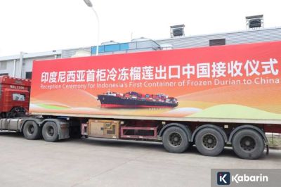 Durian Beku Indonesia Resmi Merambah Pasar China