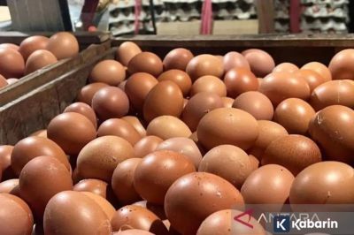 Update Harga Pangan Hari Ini: Cabe Rawit Rp35.000/kg, Telur Rp29.000/kg