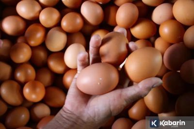 Harga Pangan Hari Ini: Cabe Rawit Rp49.150/Kg, Telur Ayam Rp31.500/Kg