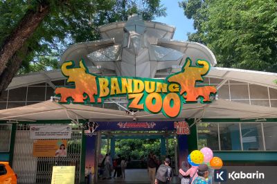 Nasib Bandung Zoo Kini Berada di Persimpangan