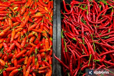 Update Harga Pangan Hari Ini: Cabe Rawit Rp57.150/Kg, Telur Rp36.000/Kg