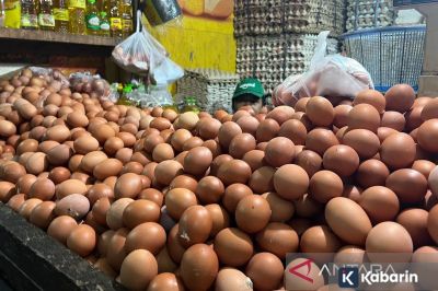PIHPS Catat Harga Cabai Rawit Merah Rp55.000/kg dan Telur Ayam Rp31.950/kg