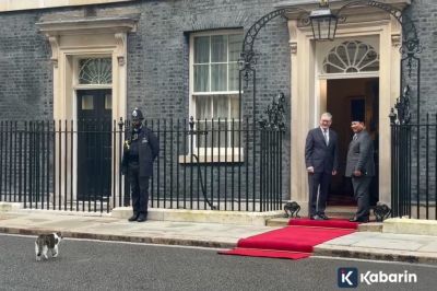 Larry the Cat Sambut Kedatangan Prabowo di Downing Street