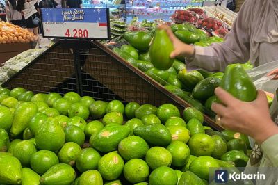 Makan Alpukat Ternyata Bisa Bantu Sehatkan jantung