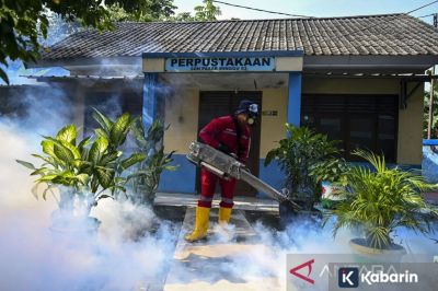 Kasus Demam Berdarah di Jakarta Meningkat pada Awal Tahun 2026