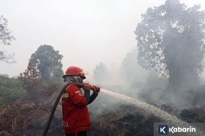 Kebakaran Lahan di Aceh Barat Capai 19 Hektar
