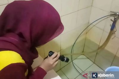 Waspada! Puncak Kasus DBD di Jakarta Diprediksi Terjadi Bulan Maret