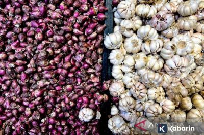 BPS: Harga Bawang Putih Terus Naik, Sentuh Rp39.810 per Kg