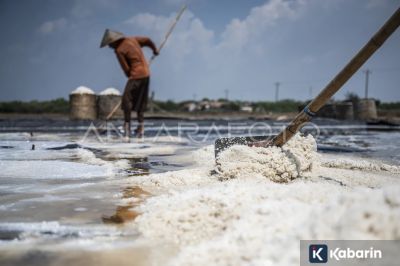 Produksi Garam Nasional Diprediksi Cuma 1 Juta Ton Tahun Ini