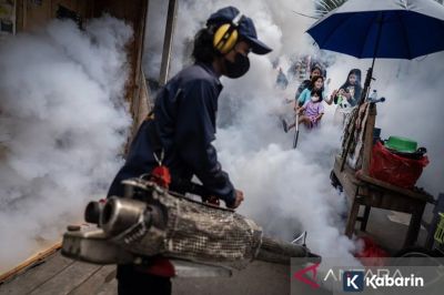 Kasus DBD di Jakarta Barat Turun Dalam Tiga Bulan Terakhir