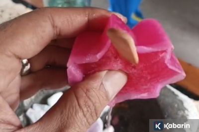 Kapolres Bakal Berikan Pembinaan Khusus Untuk Bhabinkamtibmas Terkait Kasus Es Gabus