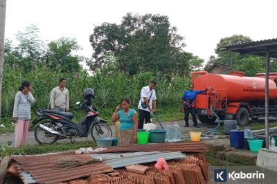 Sawah Mengering, Warga Bondowoso Jatim Kekurangan Air