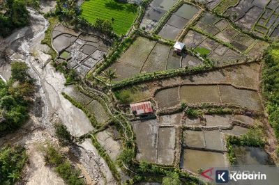 Pengamat Usul Program Alternatif Pendapatan untuk Petani Terdampak Bencana
