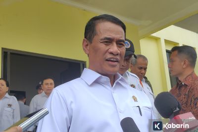 Stok Beras Dipastikan Aman, Pemerintah Tingkatkan Produksi Telur dan Ayam