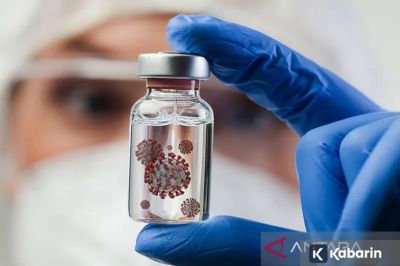 Pakar Bongkar Asal Usul Nama Virus Nipah
