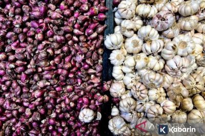 Harga Bawang Putih Turun Tipis di Awal Februari 2026