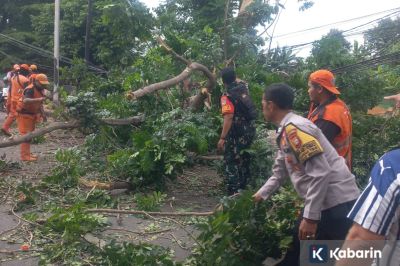 Pohon Tumbang Menimpa Mobil di Jalan TB Simatupang