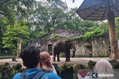 58.025 Wisatawan Padati Ragunan Selama Libur Tahun Baru Imlek