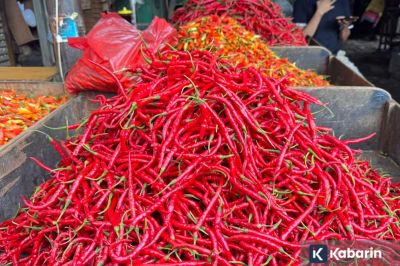 PIHPS: Harga Pangan Hari Ini Cabai Rawit Merah Rp88.600/kg dan Telur Ayam Rp32.200/