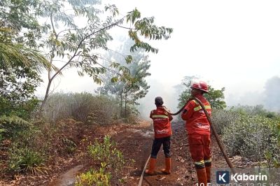 Lima Kabupaten/Kota di Riau Bersiaga Darurat Kebakaran Hutan