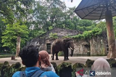 Sebanyak 421.869 Wisatawan Kunjungi Ragunan saat Libur Lebaran