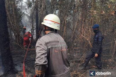 Polisi Selidiki Penyebab Karhutla yang Merebak di Kepri