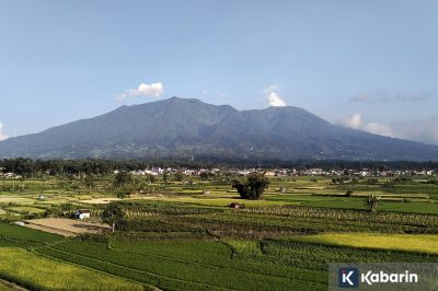 Gunung Marapi Erupsi, Kolom Abu Capai 500 Meter