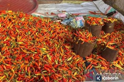 Harga Pangan Senin: Cabai Rawit Rp83.150/Kg, Daging Ayam Rp44.000/Kg