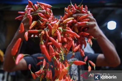 Harga Pangan Hari Ini: Cabe Rawit Rp86.150/Kg, Daging Ayam Rp42.050/Kg