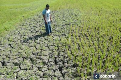 BMKG Sebut Kemarau 2026 Akan Jadi yang Terparah, Hoaks atau Fakta?