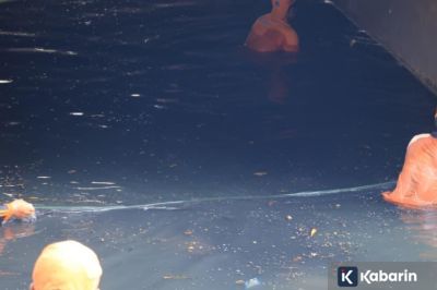 Pemkot Jakut Bersihkan Kali di Kelapa Gading dari Ikan Sapu-sapu