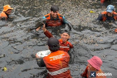 DKI Catat 6,98 Ton Ikan Sapu-Sapu Ditangkap dari Operasi di Lima Wilayah