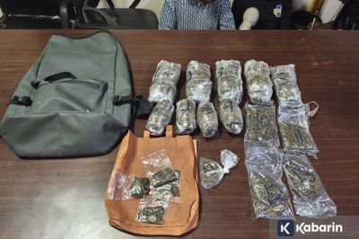 Mahasiswa Pengedar 1,4 Kilogram Ganja di Manokwari Ditangkap Polisi