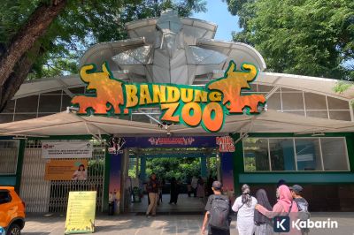 Taman Safari Indonesia Siap Mengelola Bandung Zoo