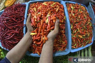 Harga Cabai Rawit Tembus Rp74 Ribu, Telur Ayam Rp41 Ribu per Kg