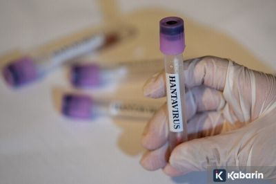 Belarus Catat 50 Kasus Hantavirus Setiap Tahunnya