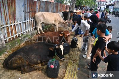 Pramono Anung Larang Pedagang Hewan Kurban Jualan di Area Publik